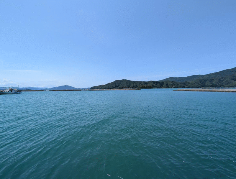 海