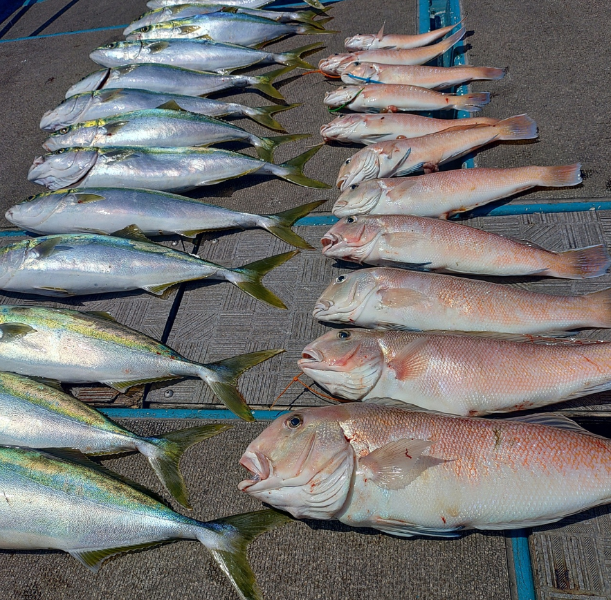 当日船中の釣果