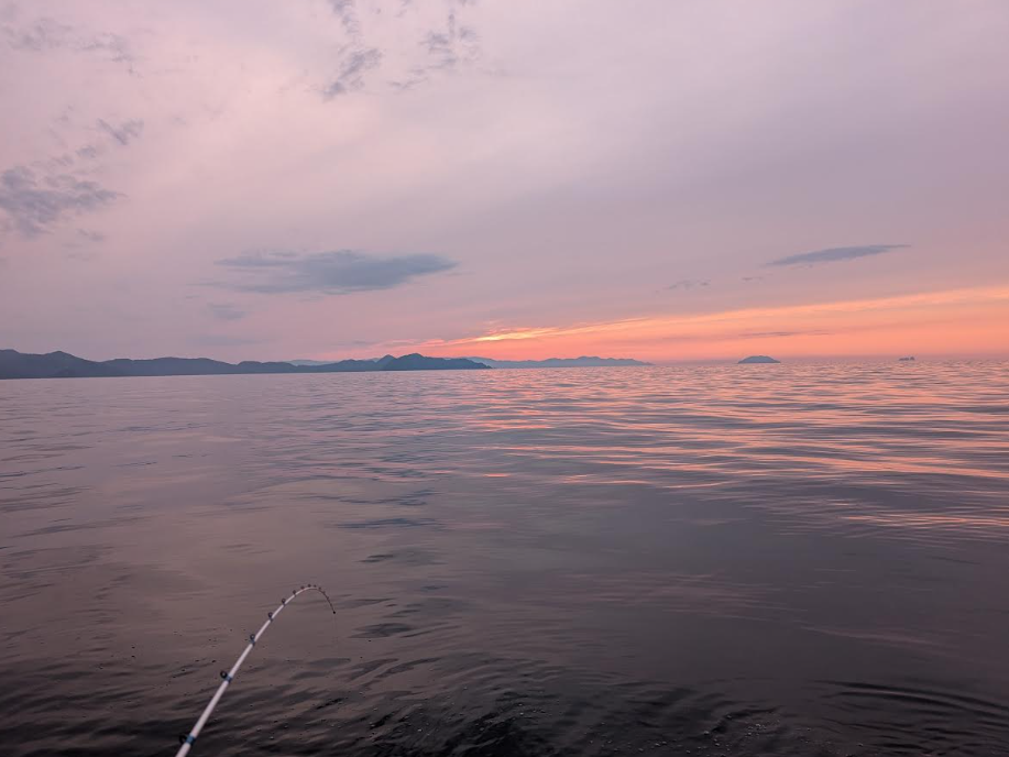 夕焼け