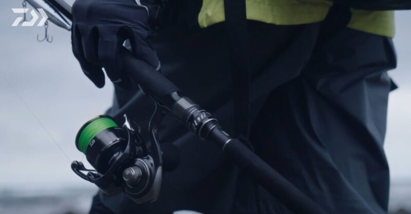 ２６セルテートＨＤ