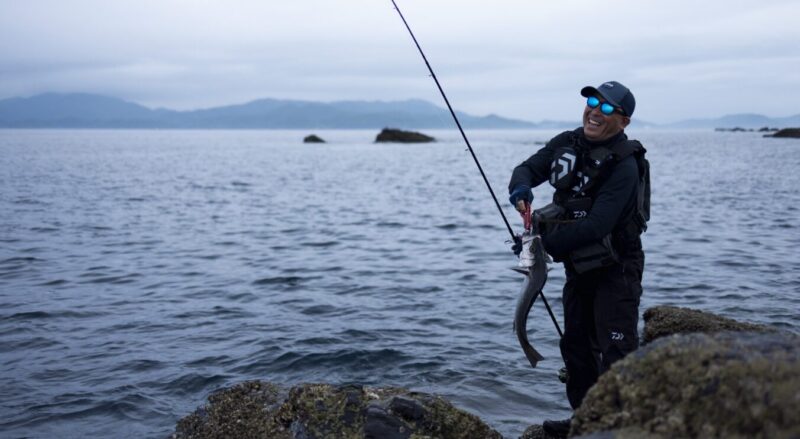 ２６セルテートＨＤ