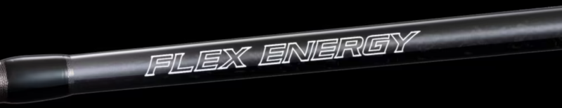 FLEX ENERGY(フレックスエナジー)