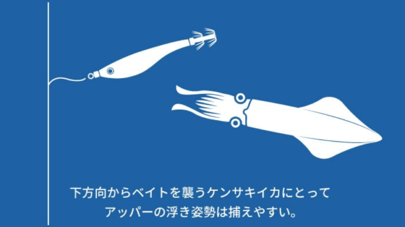 ちょい浮き姿勢2