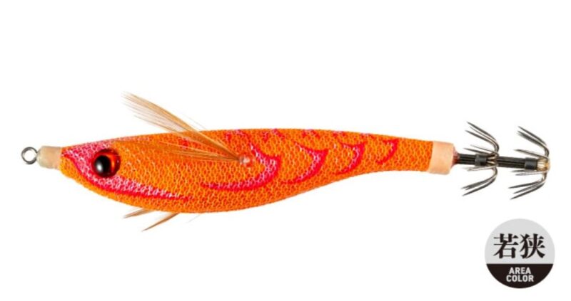 026 かぼちゃ（小浜カラー）