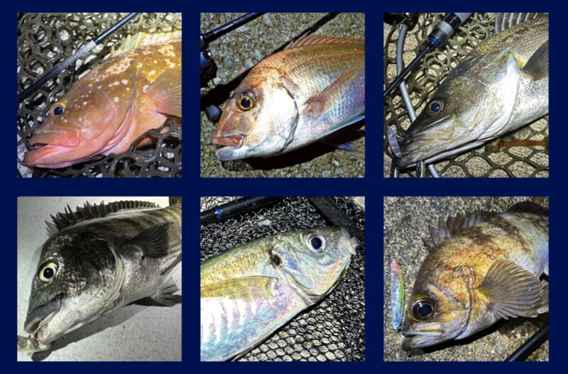 幅広いウェイト範囲&用途に余裕で対応可能