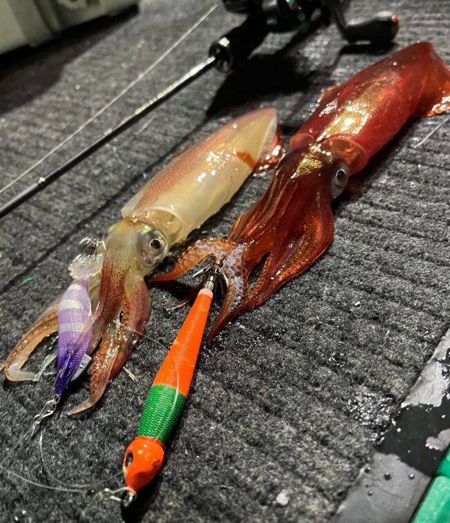 エギゾー メタル