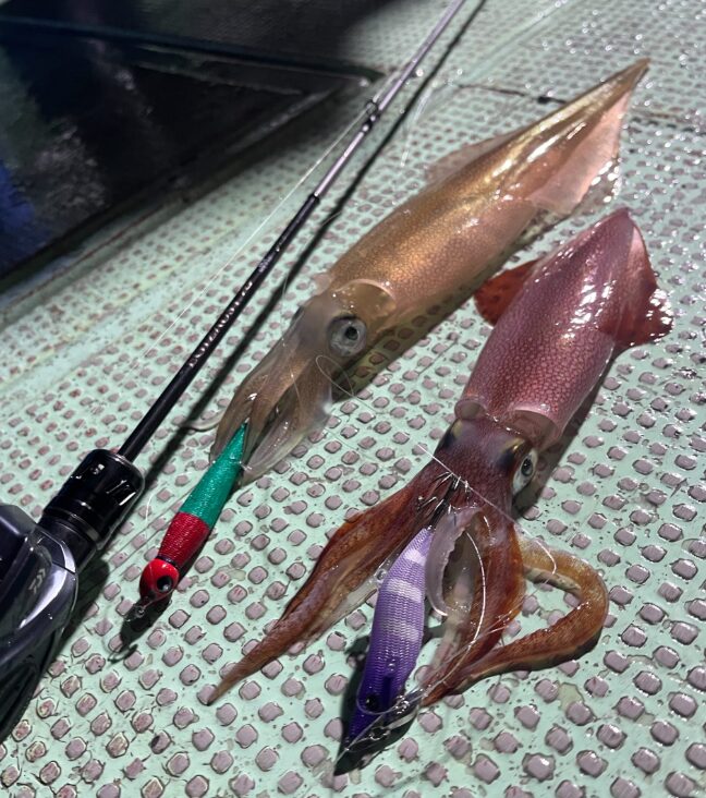 エギドロッパー