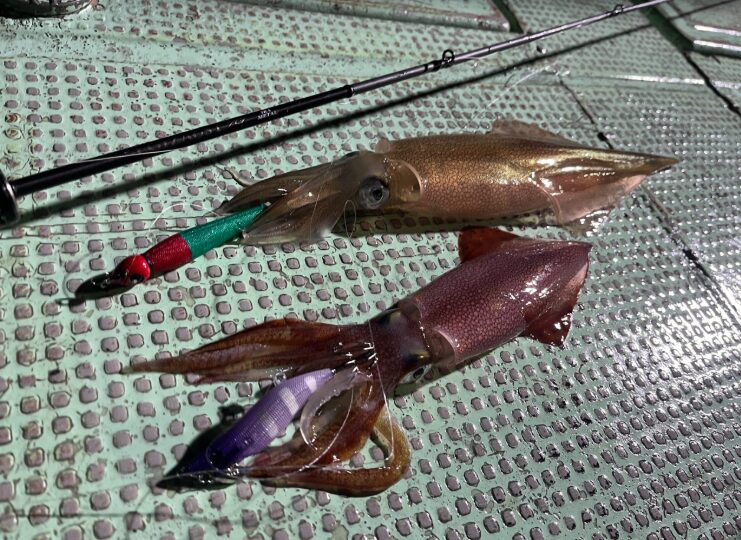 イカメタルリーダー