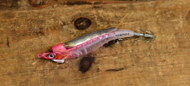 一体化したきびなご