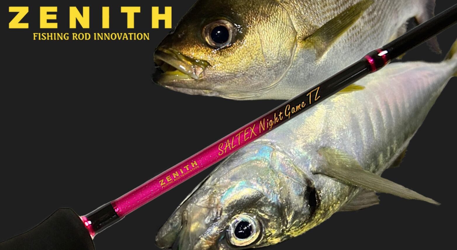 ソルテックス ナイトゲーム