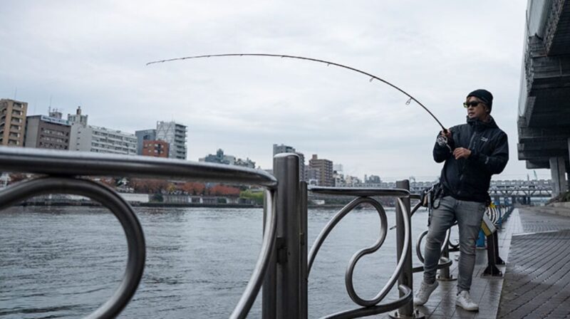 モアザン ブランジーノ CGS