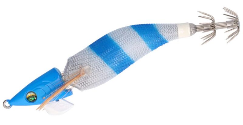 ブルー夜光－ブルーゼブラ