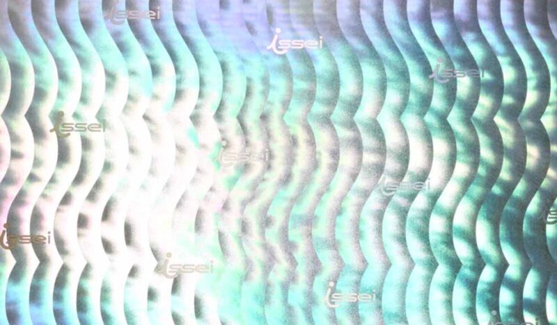 isseiオリジナル "筋肉ホログラム"