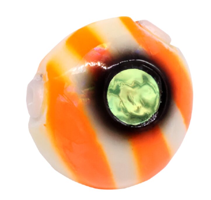 オレンジグローゼブラ