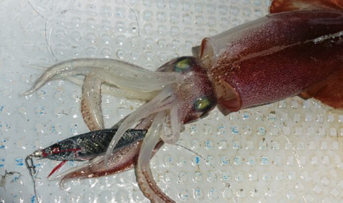 イージーベイト